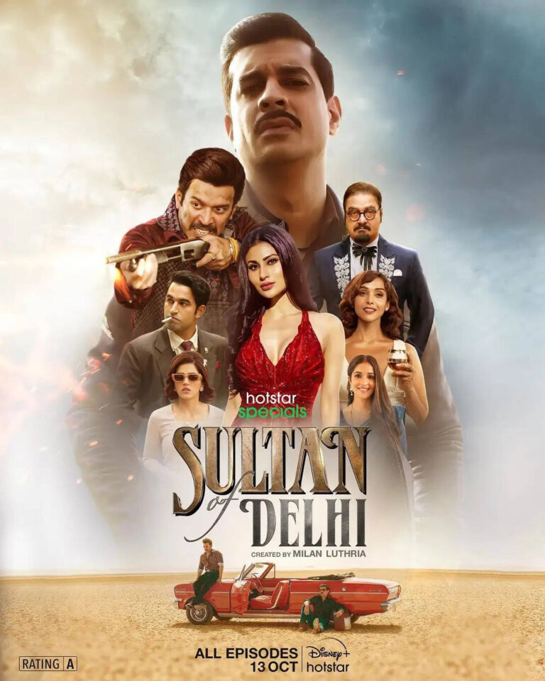 Sultan of Delhi - Review