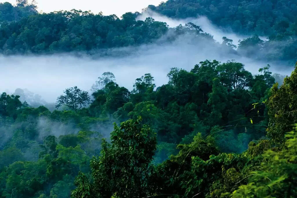 Top 15 Places To Visit Near Coimbatore