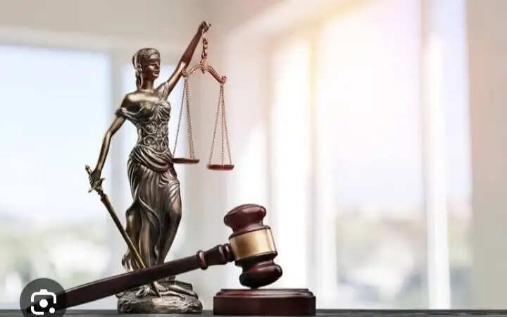 Average Salary Of Lawyers In India In 2023 - 2024