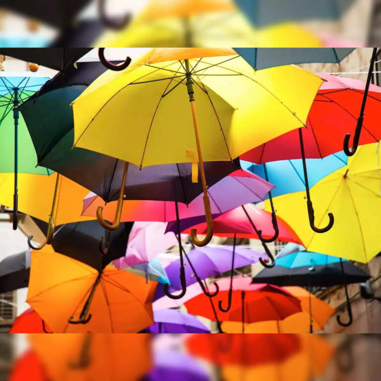 Top 10 Umbrella Brands In India In 2023 With Prices In INR