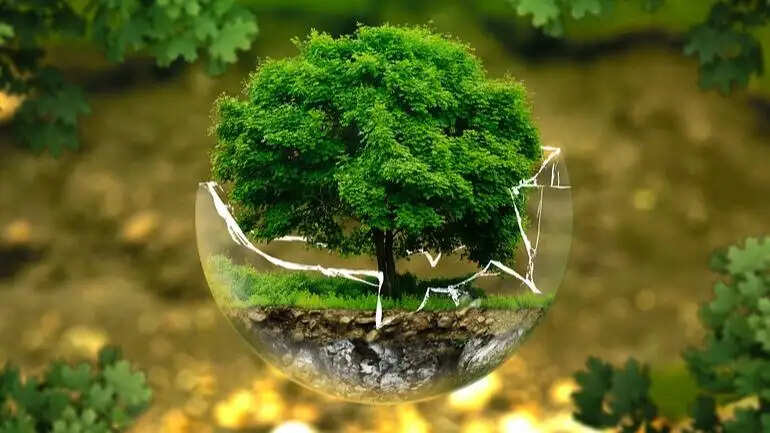 Career Scope In Environmental Science - Job Opportunities, Salary, Courses