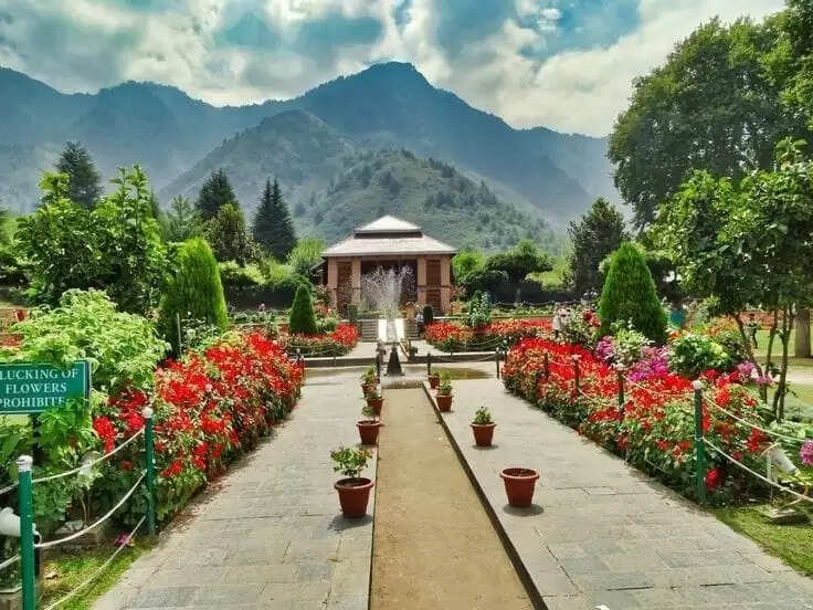What Are The Best Kashmir Tour Packages To Plan Your Trip?