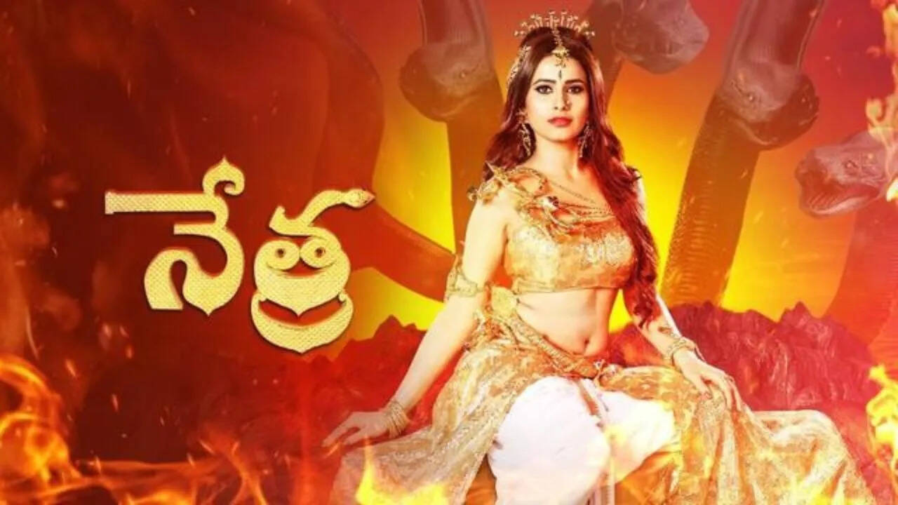 Nethra (Gemini Tv) Serial Cast, Real Names, Timings, Wiki