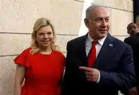 Fleur Cates, Wikipedia, Husband, Career