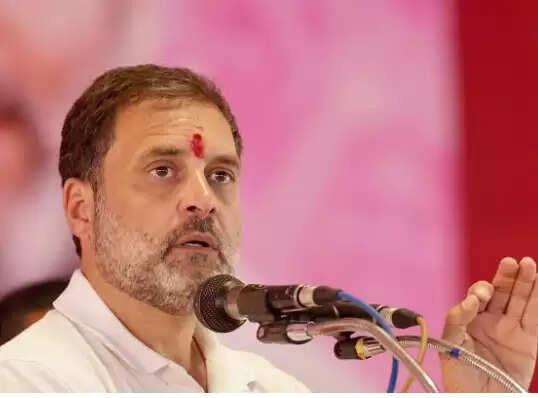 Rahul Gandhi Age, Income, Height, Parents, Wife Name, Biography