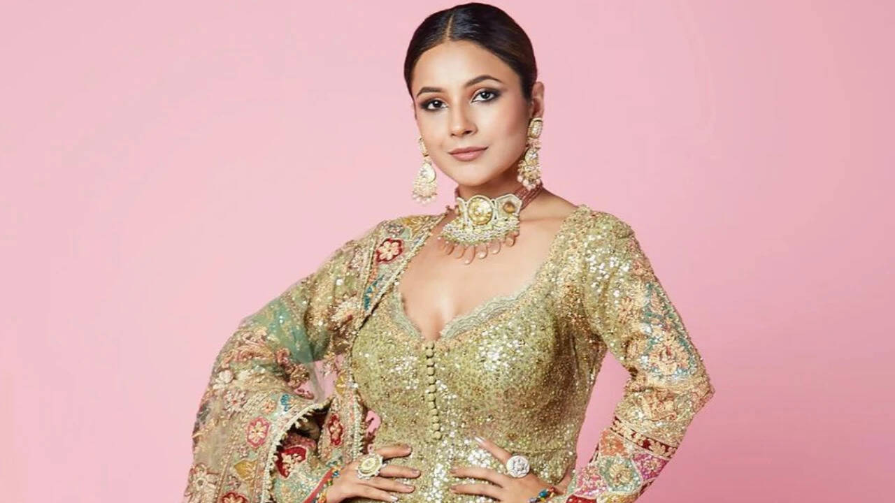 Shehnaaz Gill Height, Age, Bio, Net Worth, Family