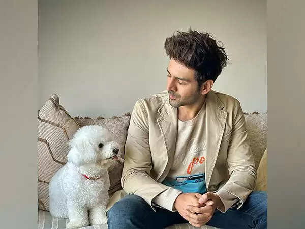 This Is How Kartik Aaryan Reacted On Negative Things Being Written About Him And His Journey In Bollywood!!!