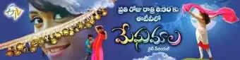 Telugu TV Serial Meghamala Cast & Crew: