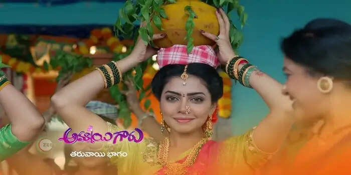 Telegu TV Serial Ammayi Garu Cast, Actress Names, Photos
