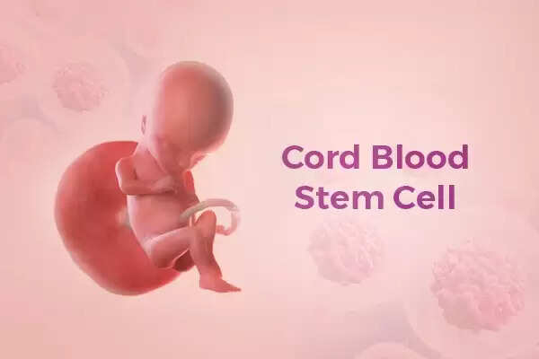 Umbilical Cord Blood Stem Cells: Types, Sources And Uses