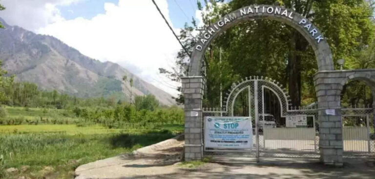 Top 5 National Parks In Kashmir