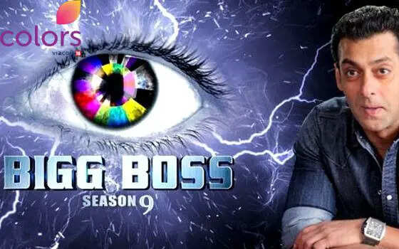 Know About The Contestants Of Bigg Boss 9