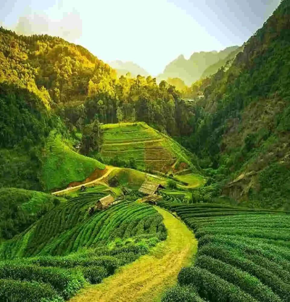 Best Hill station Captions and Quotes for Instagram