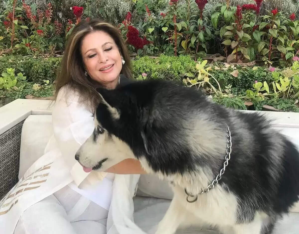 Biography Of Dilshad Bibi