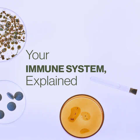 इम्यून सिस्टम क्या है? Immune System in Hindi Explained