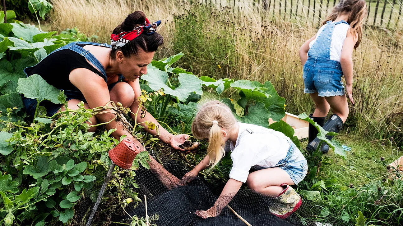 Know About The Importance Of Gardening In Our Life