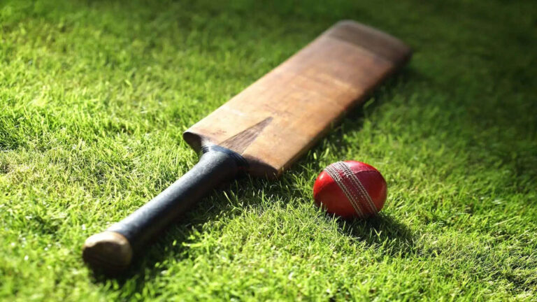Interesting Facts About Cricket