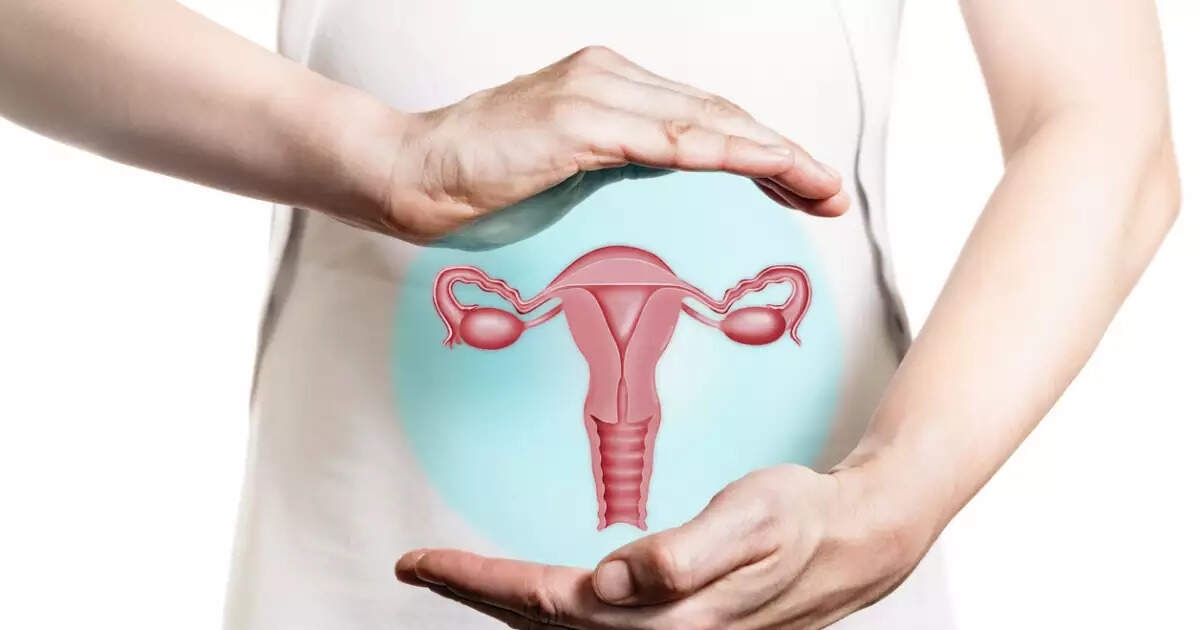 Uterus Meaning in Hindi Explained: जानिए गर्भाशय क्या है? लक्षण और उपचार
