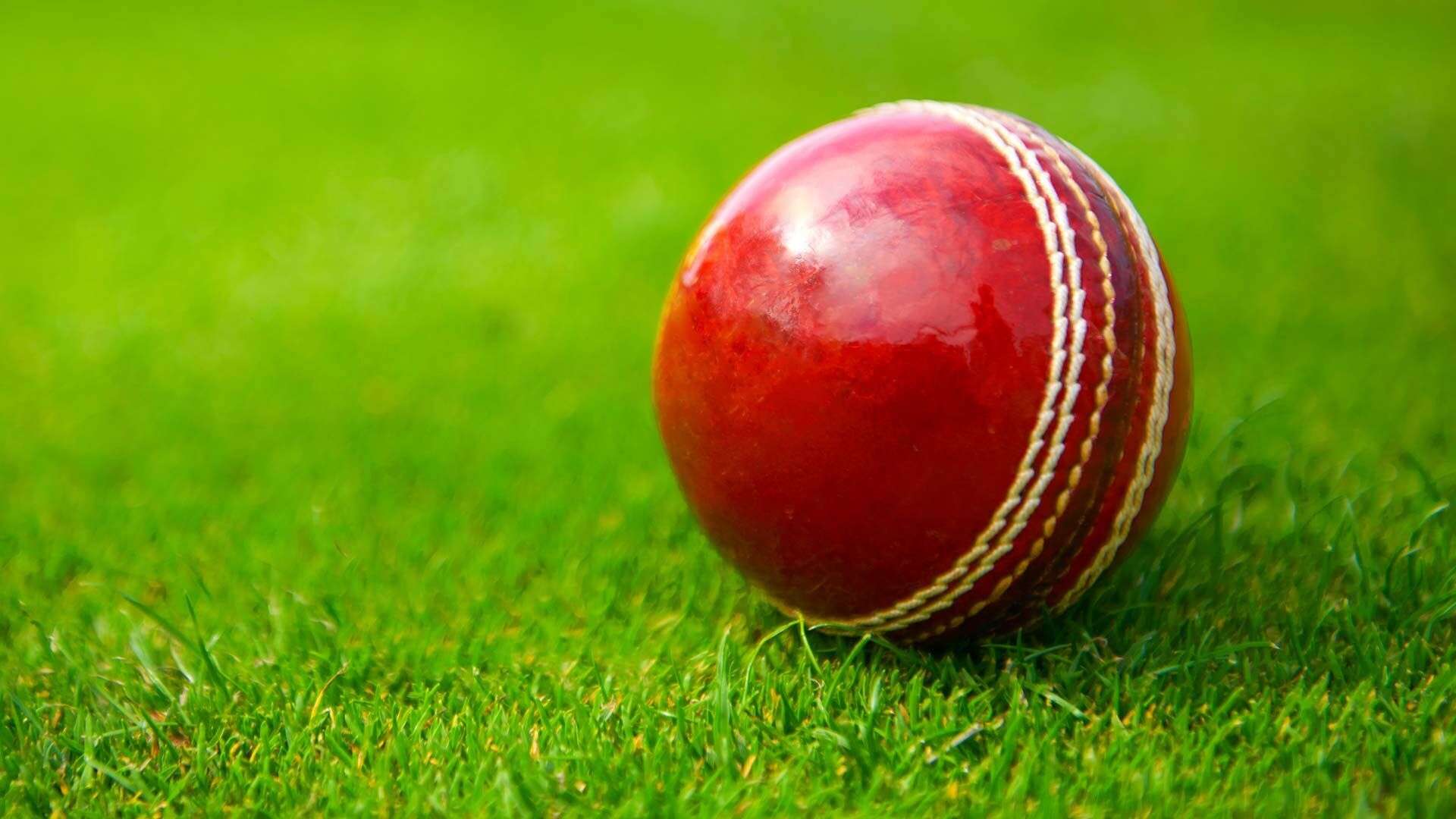 Know About IPL Ball Price In INR