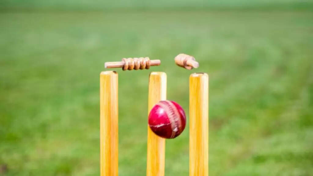Know About All The Types Of Ducks In Cricket