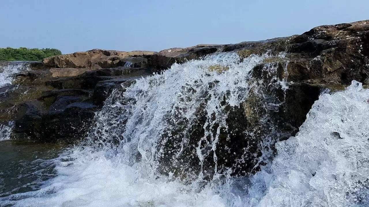 Gujarat's Best Picnic Spots for a One-Day Escape.