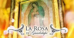 La rosa de Guadalupe Cast And Crew