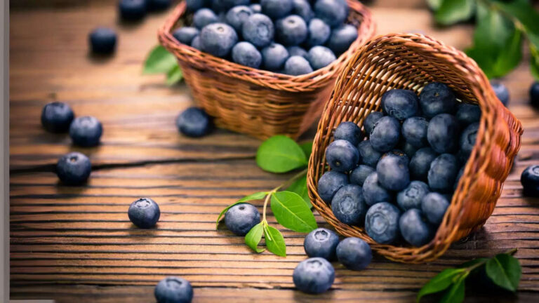 How to Start Blueberry Farming in India: Setup Cost, Investment, Profit In 2025