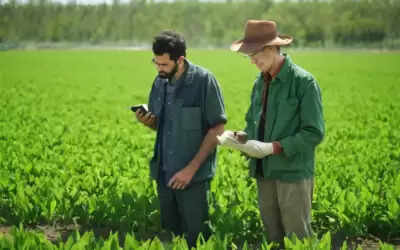Know About Commercial Farming in India: Types, Advantages, Challenges In 2025