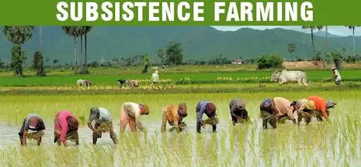 What is Primitive Subsistence Farming