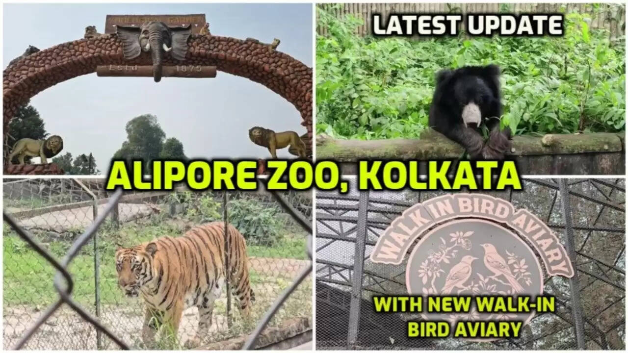 Know About Kolkata Zoo Timing: Entry Fee, Location, Address, Best time to Visit