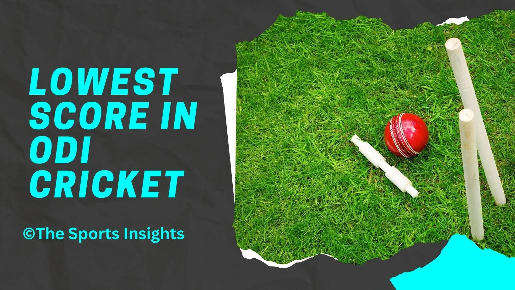 Know About 21 Lowest Score In ODI Cricket History Till 2026