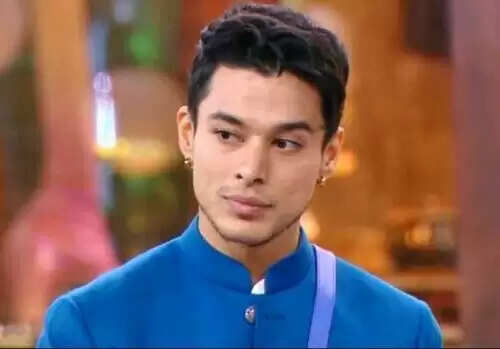 Pratik Sehajpal Age, Biography, Height, Career, TV Shows, Net Worth In 2025