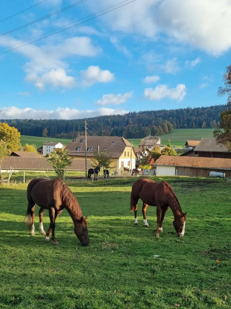 Why Indians Are Shifting from “Bucket-List Europe” to Precision-Planned Switzerland