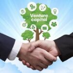 role-of-venture-capital-investor-startup-growth-success