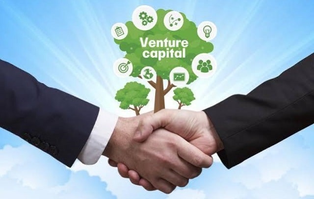role-of-venture-capital-investor-startup-growth-success