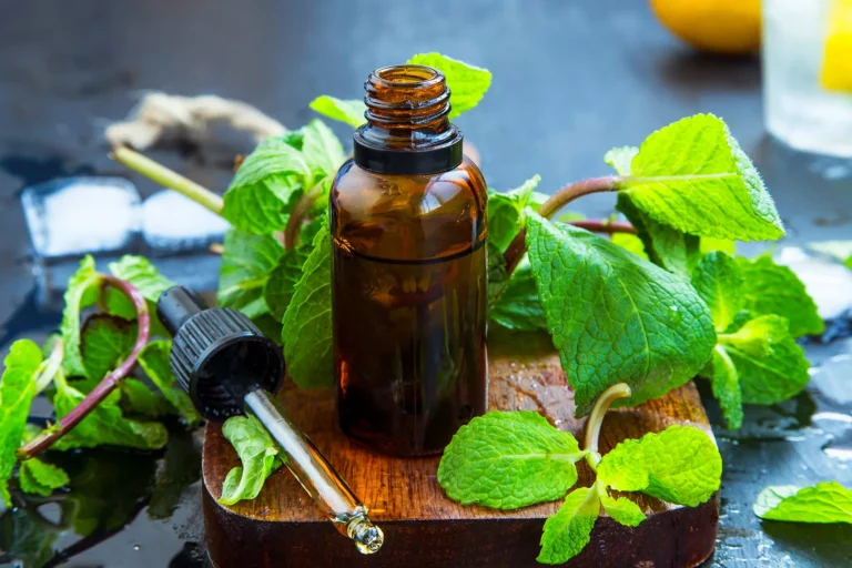 1800x1200_getty_rf_peppermint_oil_other