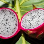 A-pink-pitahaya-cut-it-in-half-Dragon-Fruit-facebook