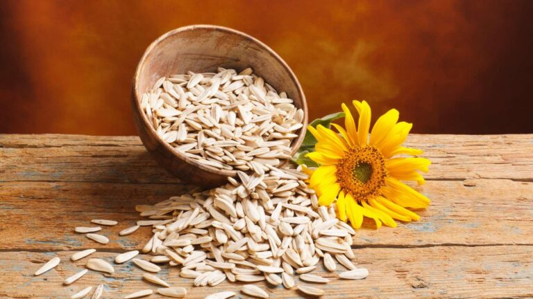Health Benefits of Sunflower Seeds
