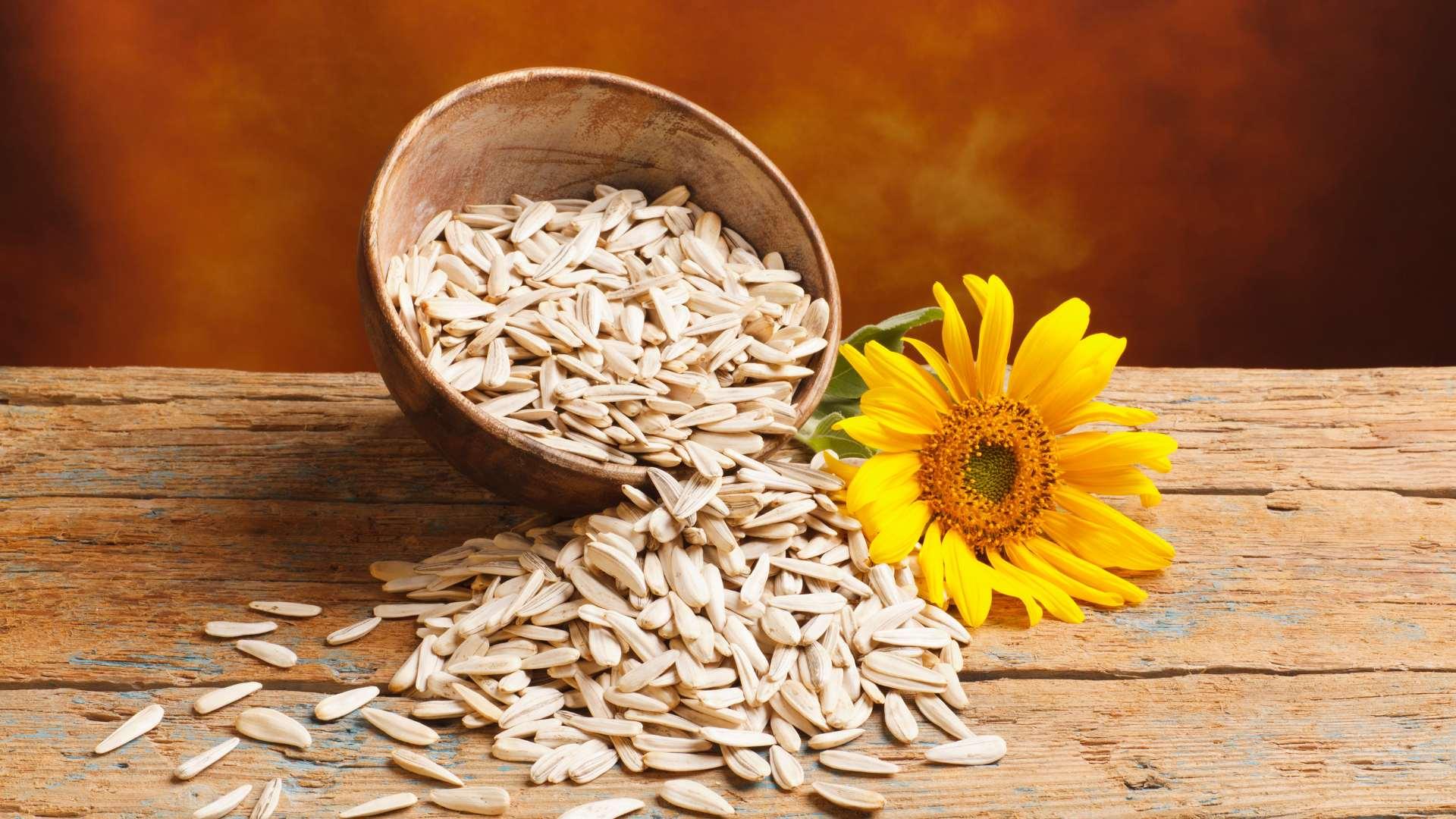 Health Benefits of Sunflower Seeds