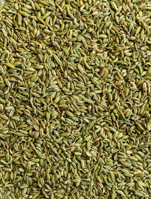 fennel