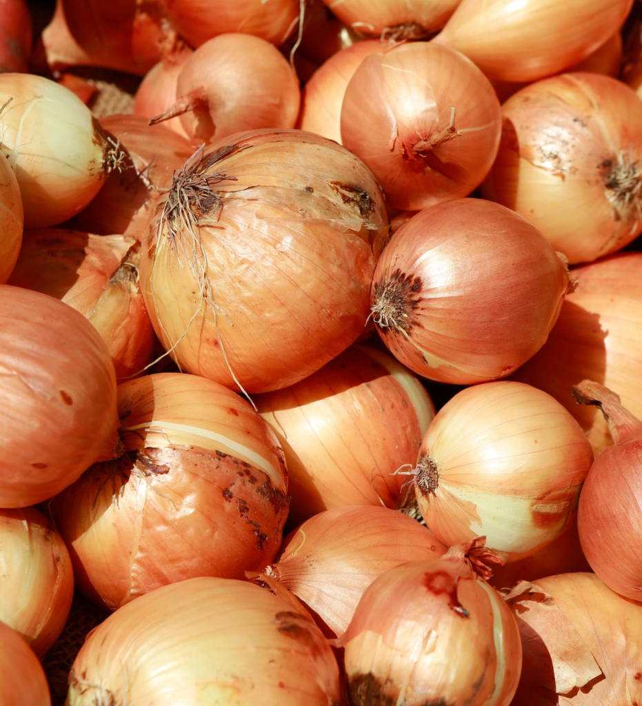 onion