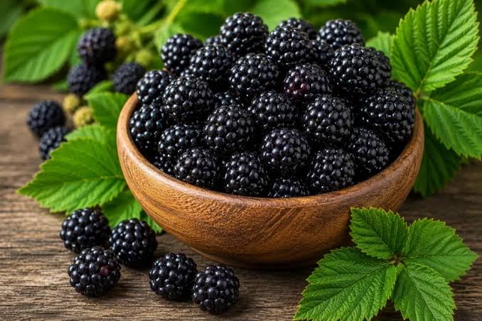 Blueberry
