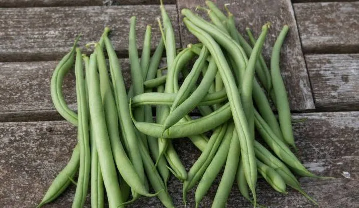 French Beans